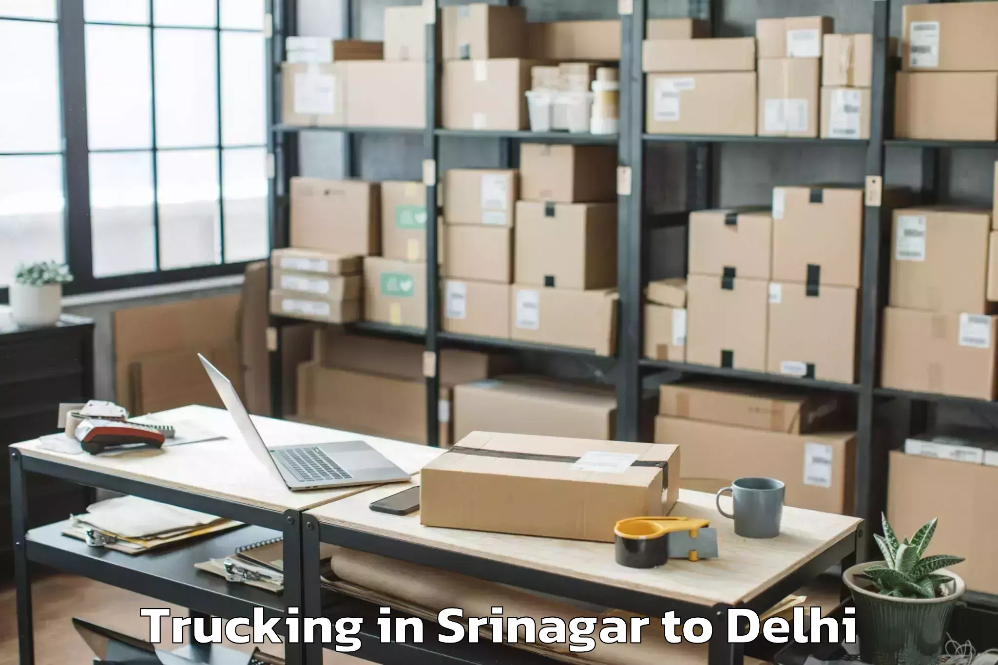 Quality Srinagar to Sansad Marg Trucking